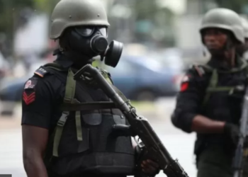 Calls for State Police – A Middle Beltan Perspective