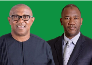 Peter Obi visits Southern Borno