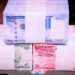 Supreme Court postpones CBN’s old naira notes deadline of February 10