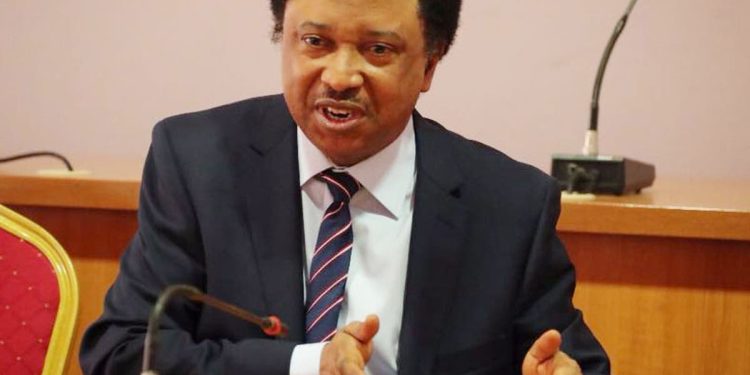 Southern Kaduna like blacks in South Africa’s apartheid – Shehu Sani