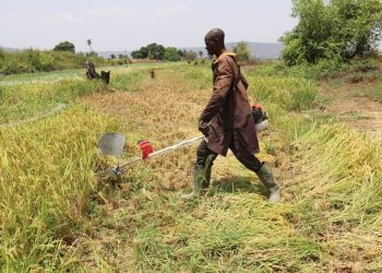 VCDP Flood Victims Share Success Stories