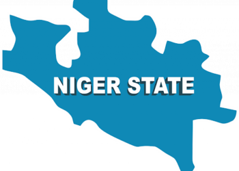 Man Meets His Demise While Attempting Cable Theft in Niger State