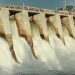 Lagdo Dam Releases Bring Floods and Challenges to Nigeria