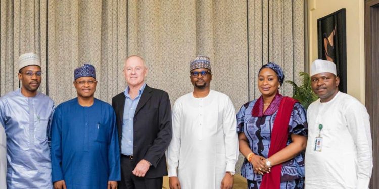 Colin Ikin’s Half-Billion Dollar Failure: A Cautionary Tale for Nigeria’s Mining Ambition