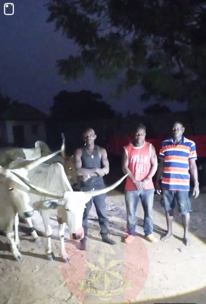 Soldiers Not Protecting Middle Belters But Protecting Cows